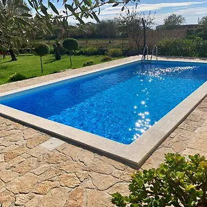 Nada Privlaka (Zadar)